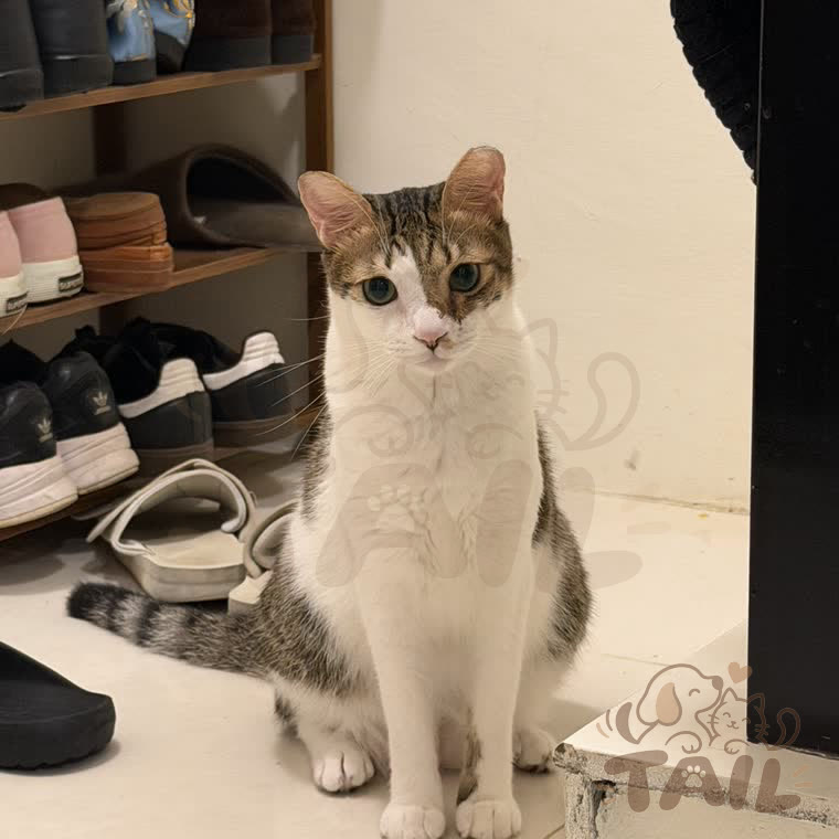 Mimi, owner's photo